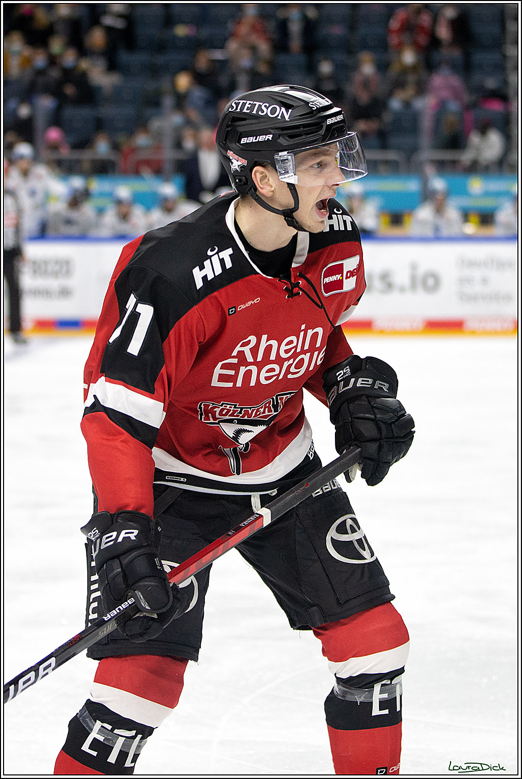 PENNY DEL; Koelner Haie- ERC Ingolstadt; Koeln, 19.12.2021